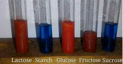 seliwanoff's test principle|Seliwanoff’s Test: Principle, Reagent Preparation, Procedure And .